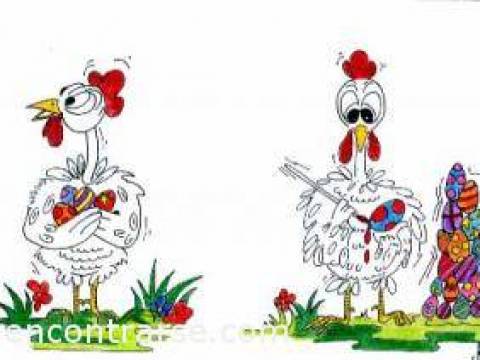 El señor gallina