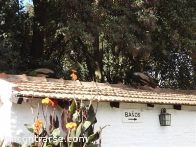 Encuentro  6772 21 VAMOS A UNA ESTANCIA CON ABBA2008 