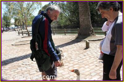 Encuentro  7740 38 LLEG� LA PRIMAVERA, CHIQUIBUM! CHIQUIBUM!  EN PALERMO, EL PICNIC TE ESPERA CHIQUIBOOM! CHIQUIBOOM! 