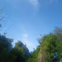   Hombre de 39 años Merlo