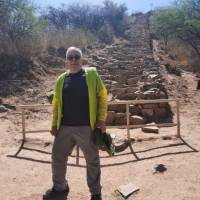   Hombre de 75 años Palermo