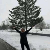   Mujer de 65 años Avellaneda