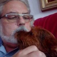   Hombre de 59 años Zaragosa