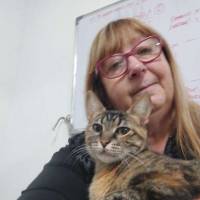   Mujer de 66 años Boedo