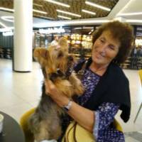   Mujer de 64 años Lomas de Zamora
