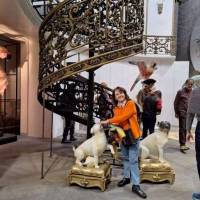   Mujer de 67 años Belgrano