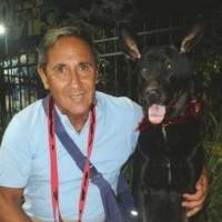   Hombre de 71 años Palermo