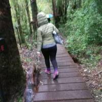   Mujer de 46 años Santiago