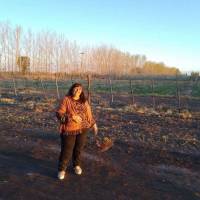   Mujer de 62 años Morón