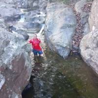   Hombre de 50 años Panama