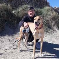   Mujer de 71 años Montevideo