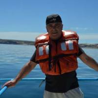   Hombre de 66 años Merlo