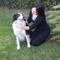   Hombre de 58 años San Isidro