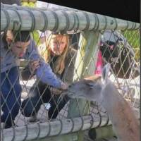   Mujer de 67 años Parque Patricios