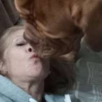   Mujer de 66 años Mar del Plata