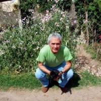   Hombre de 79 años Santa Fe