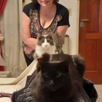   Mujer de 65 años Monte Castro