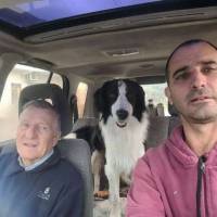   Hombre de 54 años Olivos