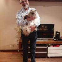   Hombre de 71 años Pilar