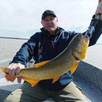   Hombre de 71 años Parque Chacabuco