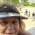 Mujer de  74 