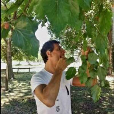  Hombre de 58 años Villa Luro