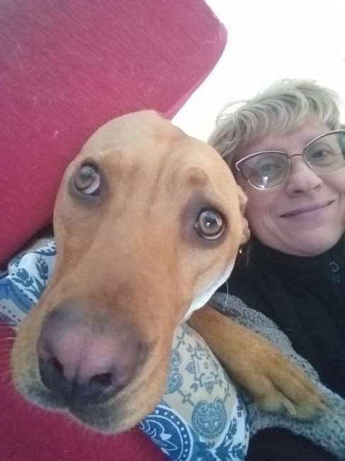 Conocer mujer de 59 años que vive en Ezeiza 