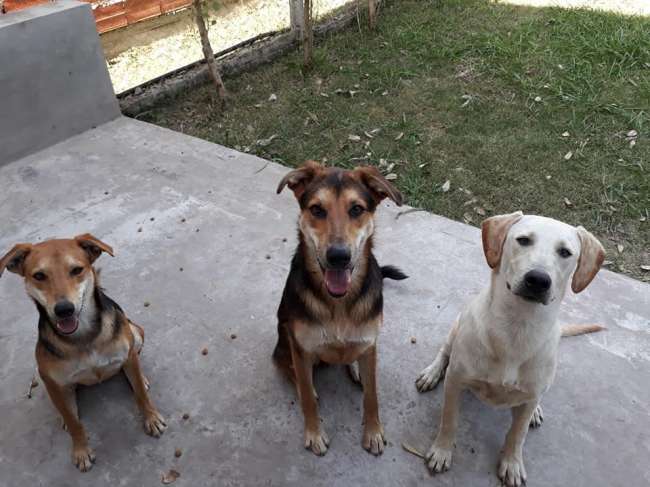 GABRIELMAX es una hombre de 61 años que busca amigos en CABA 