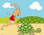 La tortuga ..: Vi tantas liebres correr sin sentido, que aprendí a ser tortuga
La tortuga ..: Vi tantas liebres correr sin sentido, que aprendí a ser tortuga