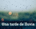¿Para que es bueno una tarde ..: A veces , siento la lluvia como necesaria. Si la temperatura lo permite , dejo salir al animal y disfrutarla sobre la piel.
¿Para que es bueno una tarde ..: A veces , siento la lluvia como necesaria. Si la temperatura lo permite , dejo salir al animal y disfrutarla sobre la piel.