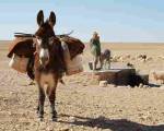 EL VIEJO, EL NIÑO Y EL BURRO. ..: A la gente no hay hostia que les venga bien pero si el viejo y el niño cargaban al Burro que onda ?=????? jajajaja
EL VIEJO, EL NIÑO Y EL BURRO. ..: A la gente no hay hostia que les venga bien pero si el viejo y el niño cargaban al Burro que onda ?=????? jajajaja