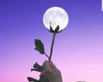 La Magia del Sonido ..: Las palabras son una parte de nosotros que llega a los demas. curan y dañan tambien. Lo esencial son las palabras que llevan un pedacito de alma para habitar en los sere La Magia del Sonido ..: Las palabras son una parte de nosotros que llega a los demas. curan y dañan tambien. Lo esencial son las palabras que llevan un pedacito de alma para habitar en los sere