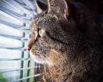 La curiosidad mató al gato, pero te puede salvar a ti ..: Si tras ver el título has seguido leyendo es la primera señal de tu curiosidad. Vas por buen camino.
Vivimos en un mundo en el que si te q La curiosidad mató al gato, pero te puede salvar a ti ..: Si tras ver el título has seguido leyendo es la primera señal de tu curiosidad. Vas por buen camino.
Vivimos en un mundo en el que si te q