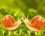 Slow Dating - Sin apuro. ..: No es fácil @FABIOBASS ...
En mi caso no deseo volver a convivir, pero creo que podría comprometerme en una relación a largo plazo si milagrosamente encontrara quien m Slow Dating - Sin apuro. ..: No es fácil @FABIOBASS ...
En mi caso no deseo volver a convivir, pero creo que podría comprometerme en una relación a largo plazo si milagrosamente encontrara quien m