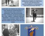 Perros adiestrados para asiste ..: Cuando vivía en Caballito, concurrí a EDUCAEDU (cuando tenía criadero de ovejeros para chicos autistas)......... EXCELENTE (pero es pago) y Perros adiestrados para asiste ..: Cuando vivía en Caballito, concurrí a EDUCAEDU (cuando tenía criadero de ovejeros para chicos autistas)......... EXCELENTE (pero es pago) y