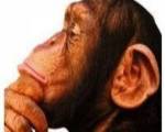 APRENDIZ DE SABIO ..: Toma nota, levanta acta de todo lo bueno y positivo que te vayasucediendo y guárdalo en la ”despensa” de la mente para cuando lleguenlos malos tiempos.Define lo que es verda APRENDIZ DE SABIO ..: Toma nota, levanta acta de todo lo bueno y positivo que te vayasucediendo y guárdalo en la ”despensa” de la mente para cuando lleguenlos malos tiempos.Define lo que es verda