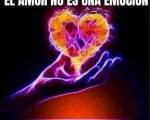 EL AMOR NO ES UNA RELACIÓN.* ..: El amor es un estado; no tiene nada que ver con nadie más. Uno no se enamora, uno es amor. Por supuesto, si eres amor y estás enamorado, ése es el resultado, la co EL AMOR NO ES UNA RELACIÓN.* ..: El amor es un estado; no tiene nada que ver con nadie más. Uno no se enamora, uno es amor. Por supuesto, si eres amor y estás enamorado, ése es el resultado, la co