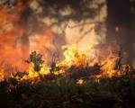 - " Los Vagabundos y El Incendio " ..: Cuentos- " Los Vagabundos y El Incendio "
En un bosque cerca de la ciudad vivían dos vagabundos. Uno era ciego y el otro cojo. Durante el día ent - " Los Vagabundos y El Incendio " ..: Cuentos- " Los Vagabundos y El Incendio "
En un bosque cerca de la ciudad vivían dos vagabundos. Uno era ciego y el otro cojo. Durante el día ent