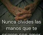 UNA TRISTE REALIDAD ..: A vos .Sabes q por lo uno ve y hablo con conocimiento de causa que es un tema cultural de las nuevas generaciones. Que no se hacen cargo de la vejez de sus padres y lo dejan li UNA TRISTE REALIDAD ..: A vos .Sabes q por lo uno ve y hablo con conocimiento de causa que es un tema cultural de las nuevas generaciones. Que no se hacen cargo de la vejez de sus padres y lo dejan li