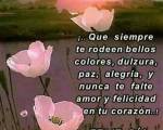 Sueños ..: Ve tras tus sueños es una la vida Vivela con la Pasion de tu corazon intensamente saborea cada dia Como un pocillo de cafe que sientas su aroma y lo Disfrutes con esa alegria y felicidad Sueños ..: Ve tras tus sueños es una la vida Vivela con la Pasion de tu corazon intensamente saborea cada dia Como un pocillo de cafe que sientas su aroma y lo Disfrutes con esa alegria y felicidad