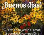 SONRISAS EN LA MIRADA SON LA FUENTE DE ENERGIA ..:
Buenos dias a todos Feliz lunes quesean un dia de maravillas lo inicien con ese cafe o mate de Sonrisas multiples y tengan una semana hermosa en SONRISAS EN LA MIRADA SON LA FUENTE DE ENERGIA ..:
Buenos dias a todos Feliz lunes quesean un dia de maravillas lo inicien con ese cafe o mate de Sonrisas multiples y tengan una semana hermosa en