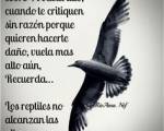 Cuando escuches............. ..: Antes de hablar, habria que verse uno mismo por dentro....
Cuando escuches............. ..: Antes de hablar, habria que verse uno mismo por dentro....