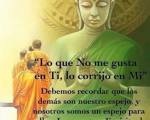 QUE SIGNIFICA "EL OTRO ..: Muy actual, muchas veces no vemos nuestros errores o comportamiento. No nos vemos a nosotros mismos. Gracias por compartirlo.
QUE SIGNIFICA "EL OTRO ..: Muy actual, muchas veces no vemos nuestros errores o comportamiento. No nos vemos a nosotros mismos. Gracias por compartirlo.