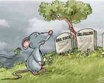 REFLEXIÓN PARA MUCHOS !!! ..: Un ratón mirando por un agujero de la pared, ve al granjero y su esposa abrir un paquete. Quedó aterrorizado al ver que era una trampa para ratones. Fue corriendo al p