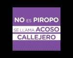 ¿PIROPO o ACOSO CALLEJERO? ..: De las múltiples veces que en la calle me llamaron "potro", "potrillo" o me dijeron "matame", siempre me quedó la sensa