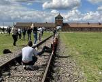 ¿Nunca más? ..: Muchas son las aberraciones que somos capaces de cometer, esta raza RACIONAL de la que formamos parte.

Aportemos todo lo posible para revertir tanto horror, tanta barbarie, tanto 