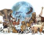 CELEBREMOS EL DIA DEL ANIMAL,  ..: Hola @OLINDA2014 buen dia como estas? no conocia la historia, gracias por la info, personalmente amo los animales y jamas podria tener muy entre mis cercan