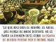 Es por eso Ruben que las ovejas negras irritamos tanto, el pensar distinto muestra una verdad diferente, una puerta distinta, un espejo que generalmente el rebaño intenta destruir. Cuando yo comence 