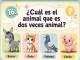 Y... podría ser el cerdo, que además es chancho jeje. 