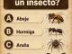 Bien ahí Bien ahí